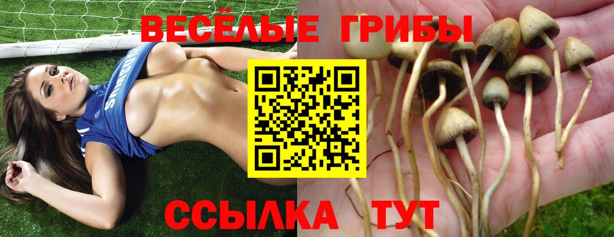 Галлюциногенные грибы мухоморы Шарыпово