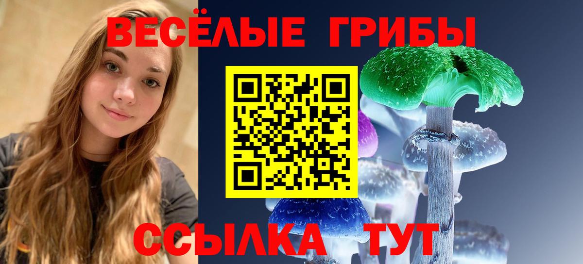 Галлюциногенные грибы ЛСД  Вход с VPN  Галлюциногенные грибы ЛСД  Шарыпово 